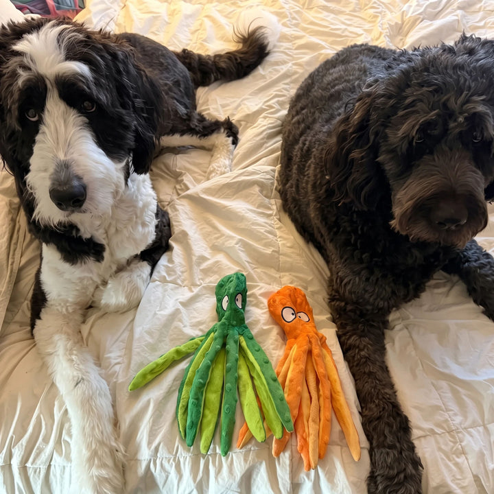 Review by Sarah L.