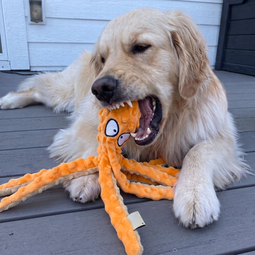 No-Stuffing Octopus Plush