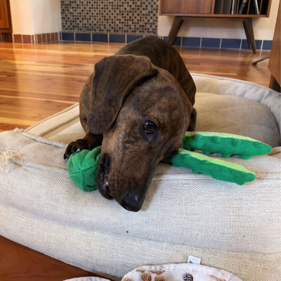 No-Stuffing Octopus Plush